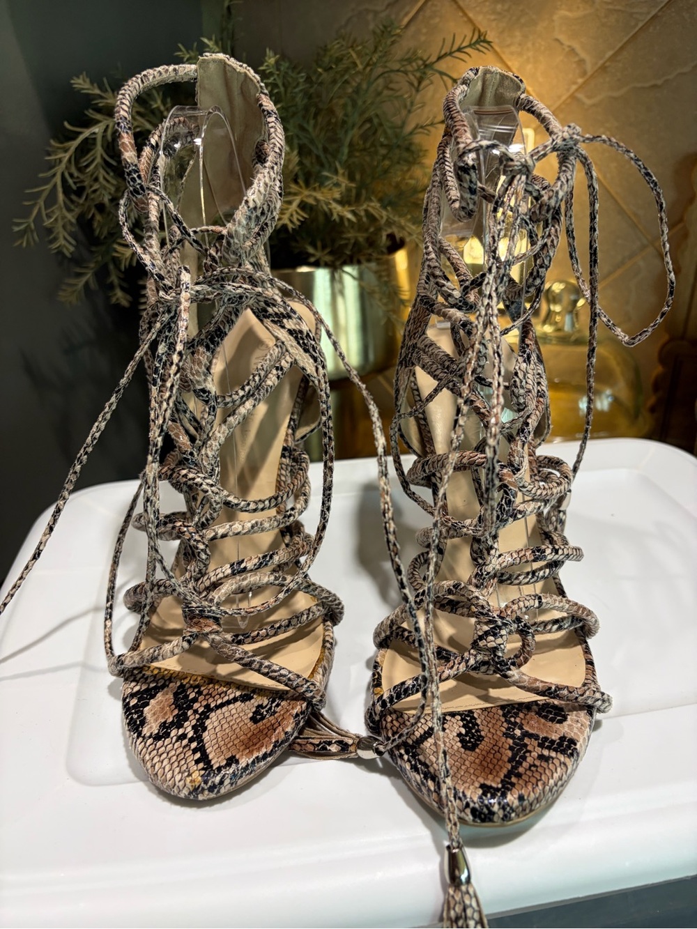 Wild Diva Women's Berlin 72 Gladiator Strappy Lace up Tie High Heel